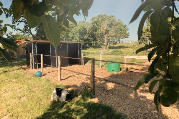 Gelände auf Eichenhof