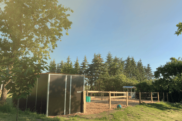 Pferdebox auf Eichenhof